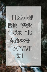 北京市郊樱桃“尖货”登录“北苑路88号”农产品市集