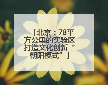 北京：78平方公里的实验区打造文化创新“朝阳模式”