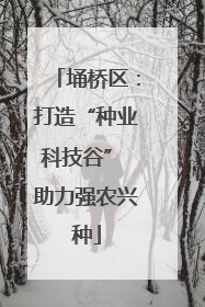 埇桥区：打造“种业科技谷” 助力强农兴种