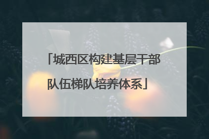 城西区构建基层干部队伍梯队培养体系