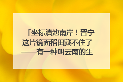 坐标滇池南岸！晋宁这片镜面稻田藏不住了——有一种叫云南的生活之365天