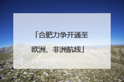 合肥力争开通至欧洲、非洲航线
