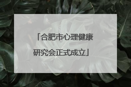 合肥市心理健康研究会正式成立