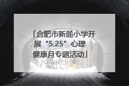 合肥市新麓小学开展“5.25”心理健康月专题活动