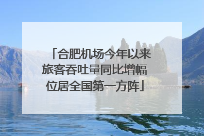 合肥机场今年以来旅客吞吐量同比增幅位居全国第一方阵