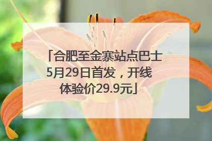 合肥至金寨站点巴士5月29日首发，开线体验价29.9元