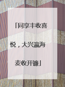 同享丰收喜悦，大兴瀛海麦收开镰
