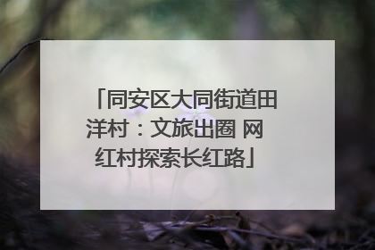 同安区大同街道田洋村：文旅出圈 网红村探索长红路