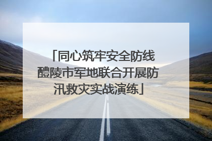同心筑牢安全防线 醴陵市军地联合开展防汛救灾实战演练