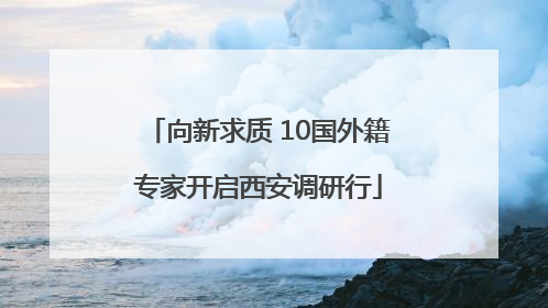 向新求质 10国外籍专家开启西安调研行