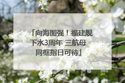 向海图强！福建舰下水3周年 三航母同框指日可待