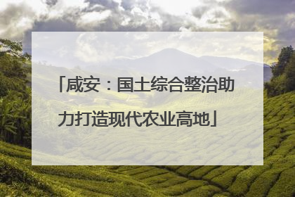 咸安：国土综合整治助力打造现代农业高地