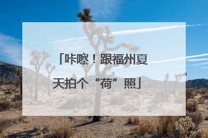 咔嚓！跟福州夏天拍个“荷”照