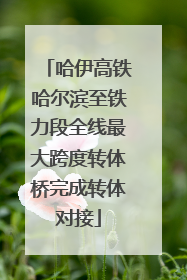 哈伊高铁哈尔滨至铁力段全线最大跨度转体桥完成转体对接