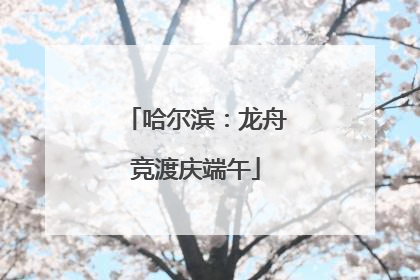 哈尔滨：龙舟竞渡庆端午