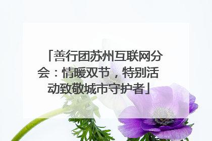 善行团苏州互联网分会：情暖双节，特别活动致敬城市守护者