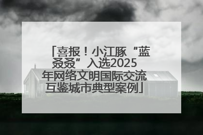 喜报！小江豚“蓝叒叒”入选2025年网络文明国际交流互鉴城市典型案例