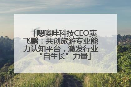 嗯噢哇科技CEO窦飞鹏：共创旅游专业能力认知平台，激发行业“自生长”力量