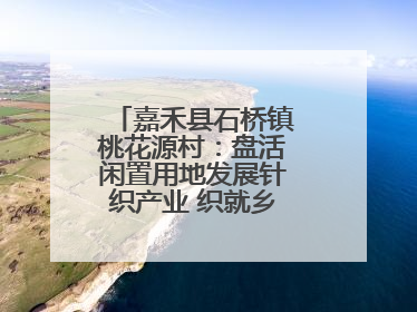 嘉禾县石桥镇桃花源村：盘活闲置用地发展针织产业 织就乡村振兴新图景
