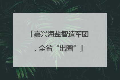 嘉兴海盐智造军团，全省“出圈”