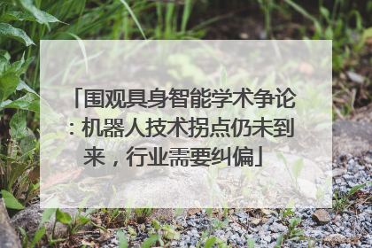 围观具身智能学术争论：机器人技术拐点仍未到来，行业需要纠偏