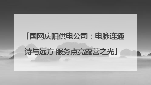国网庆阳供电公司：电脉连通诗与远方 服务点亮露营之光