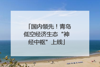 国内领先！青岛低空经济生态“神经中枢”上线