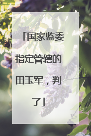 国家监委指定管辖的田玉军，判了