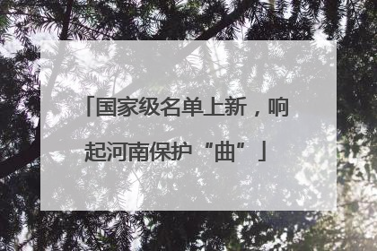 国家级名单上新，响起河南保护“曲”