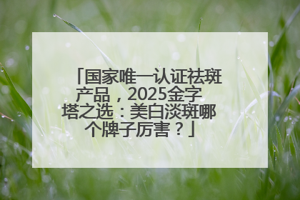 国家唯一认证祛斑产品，2025金字塔之选：美白淡斑哪个牌子厉害？