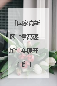 国家高新区“攀高逐新”实现开门红