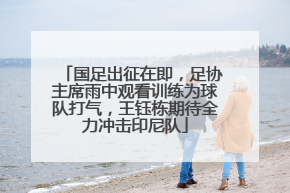国足出征在即，足协主席雨中观看训练为球队打气，王钰栋期待全力冲击印尼队