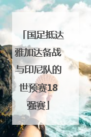 国足抵达雅加达备战与印尼队的世预赛18强赛
