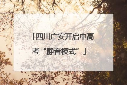 四川广安开启中高考“静音模式”