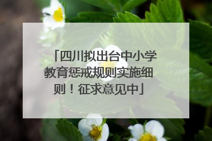 四川拟出台中小学教育惩戒规则实施细则！征求意见中