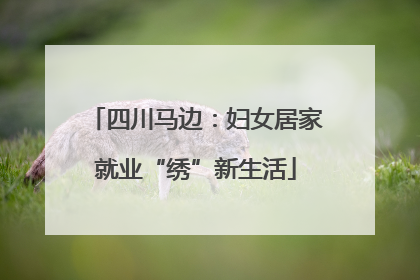 四川马边：妇女居家就业“绣”新生活