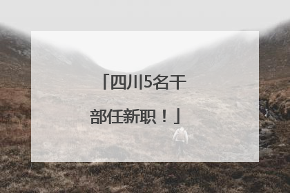 四川5名干部任新职！