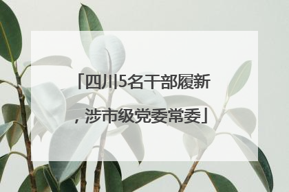 四川5名干部履新，涉市级党委常委