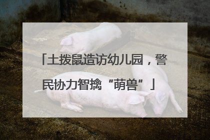 土拨鼠造访幼儿园，警民协力智擒“萌兽”