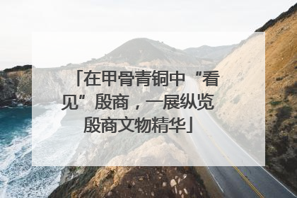 在甲骨青铜中“看见”殷商，一展纵览殷商文物精华