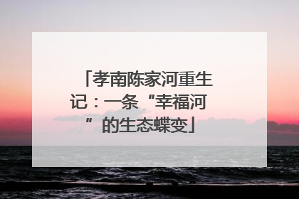 孝南陈家河重生记：一条“幸福河”的生态蝶变