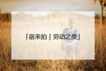 宿来拍｜劳动之美