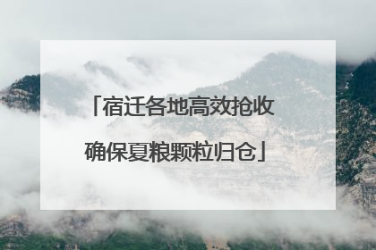 宿迁各地高效抢收 确保夏粮颗粒归仓