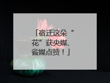 宿迁这朵“花”获央媒、省媒点赞！