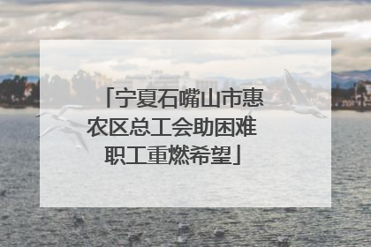 宁夏石嘴山市惠农区总工会助困难职工重燃希望