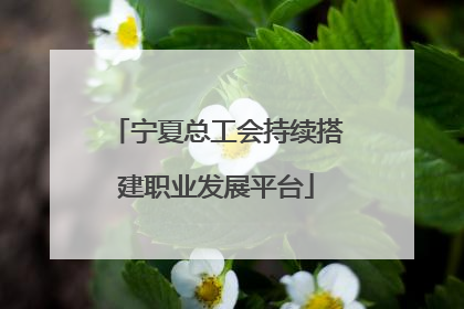 宁夏总工会持续搭建职业发展平台