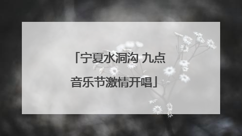 宁夏水洞沟 九点音乐节激情开唱