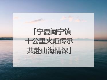 宁夏闽宁镇 十公里火炬传承共赴山海情深