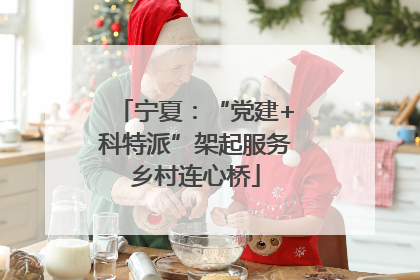宁夏：“党建+科特派”架起服务乡村连心桥