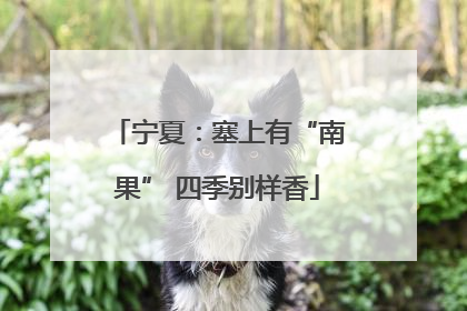 宁夏：塞上有“南果” 四季别样香